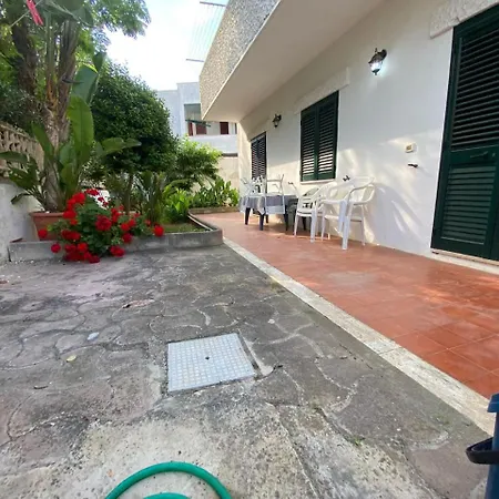 Delle Mimose - Baia *