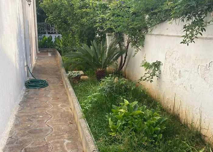 Delle Mimose - Baia *